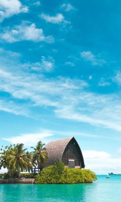 brown hut near coconut palm trees under blue sky wallpaper