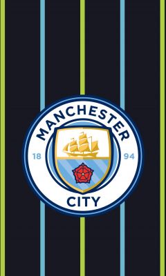 Tottenham Vs Manchester City Champions League HD wallpaper