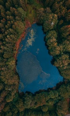 aerial view of lake surrounded by trees wallpaper