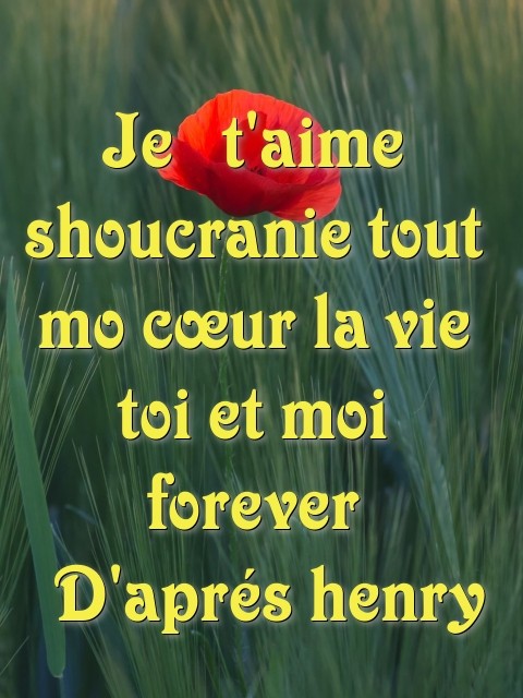 Je  t'aime shoucranie tout mo cœur la vie toi et moi forever  D'aprés henry  Text Wallpaper