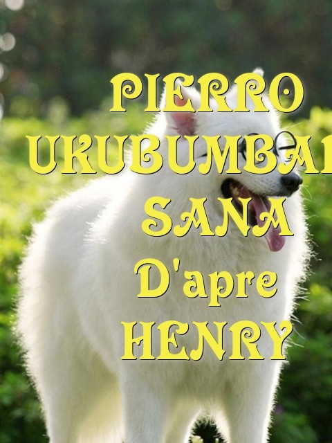 PIERRO UKUBUMBAFU  SANA D'apre HENRY  Text Wallpaper