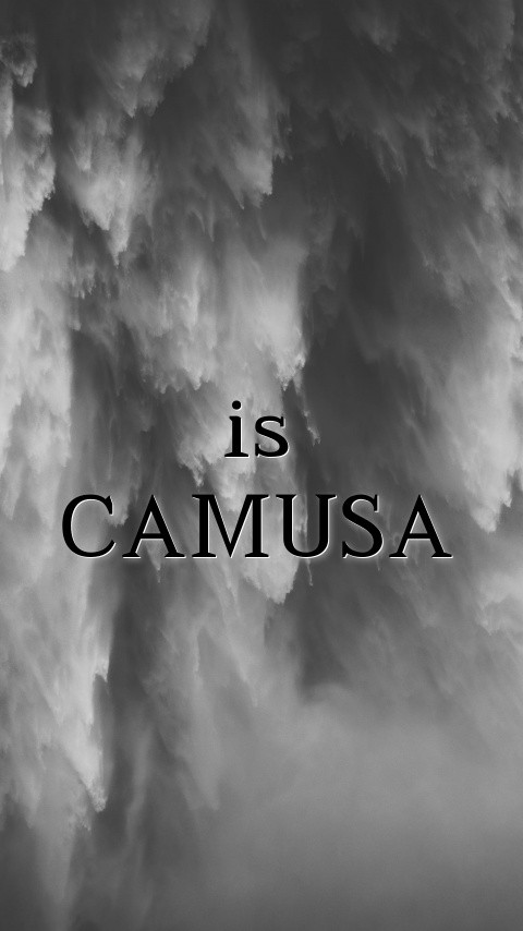 is CAMUSA Text Wallpaper