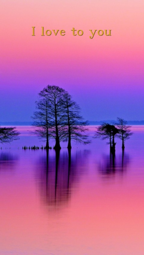 I love to you  Text Wallpaper