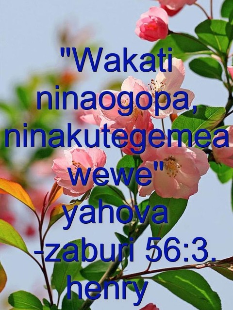 "Wakati ninaogopa, ninakutegemea wewe"  yahova   -zaburi 56:3. henry   Text Wallpaper