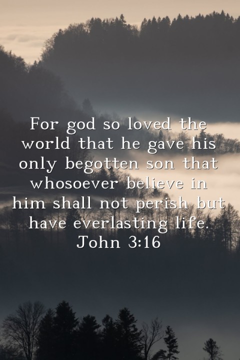 For god so loved the world that he gave his only begotten son that whosoever believe in him shall not perish but have everlasting life.
John 3:16 Text Wallpaper