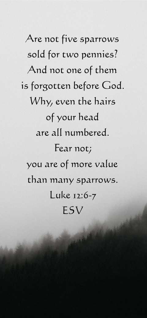 
Are not five sparrows
sold for two pennies?
And not one of them
 is forgotten before God.
Why, even the hairs
of your head
are all numbered.
Fear not;
you are of more value
than many sparrows.
Luke 12:6-7
ESV Text Wallpaper