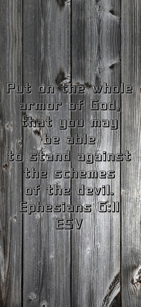 
Put on the whole
armor of God,
that you may
be able
to stand against
the schemes
of the devil.
Ephesians 6:11
ESV Text Wallpaper