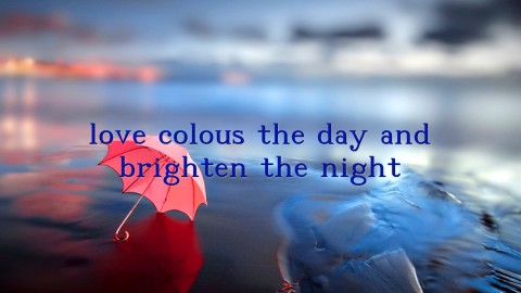 love colous the day and brighten the night Text Wallpaper