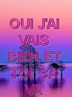 Oui j'ai vais bien et toi ça va Text Wallpaper