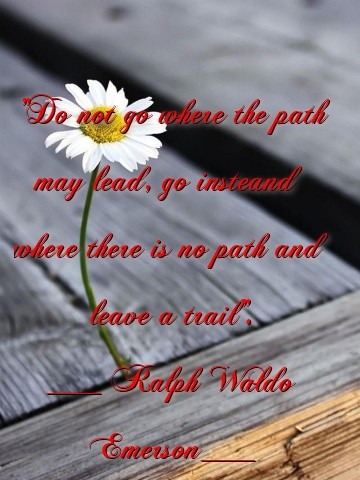 "Do not go where the path may lead, go insteand where there is no path and leave a trail".
___ Ralph Waldo Emerson___ Text Wallpaper