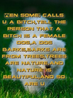 Wen some1 calls u a bitch,tell the person that a bitch is a female dog,a dog barks,barks are from trees,trees are nature,and nature is beautiful,and so are u Text Wallpaper