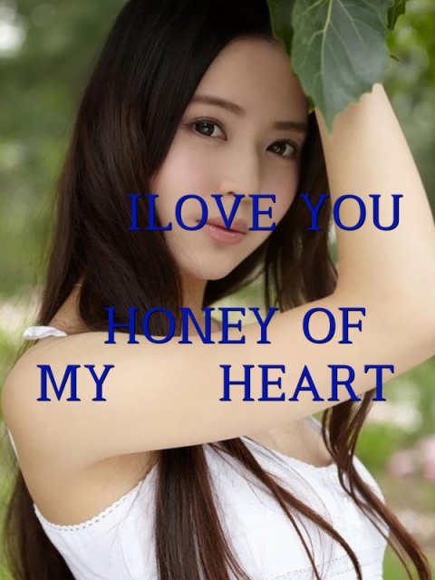    ILOVE YOU
       HONEY OF
MY   HEART Text Wallpaper