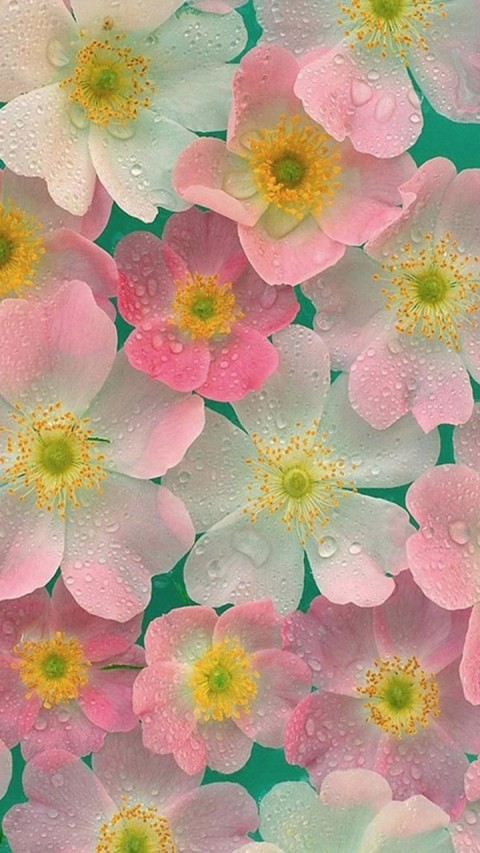  Text Wallpaper
