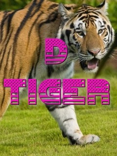 D TIGER Text Wallpaper
