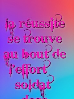 la réussite se trouve au bout de l'effort¤¤¤ 
soldat dozo Text Wallpaper