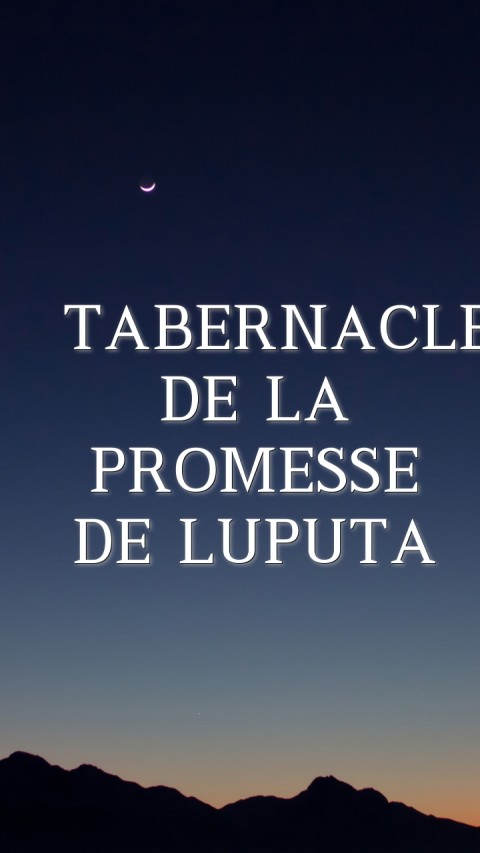   TABERNACLE DE LA PROMESSE DE LUPUTA Text Wallpaper
