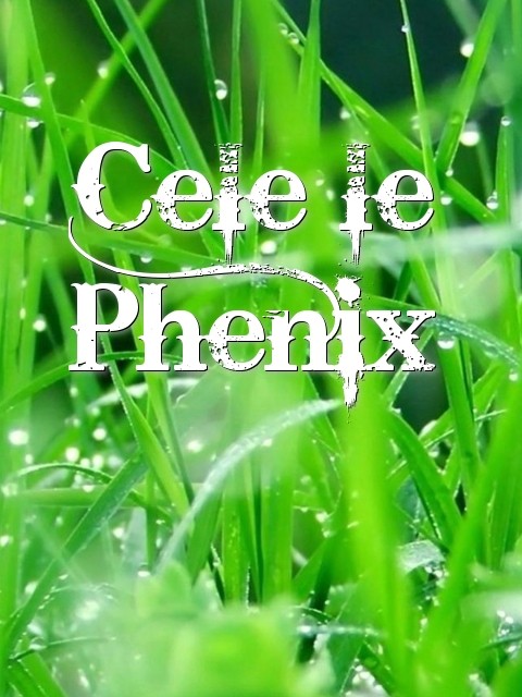 Cele le Phenix Text Wallpaper