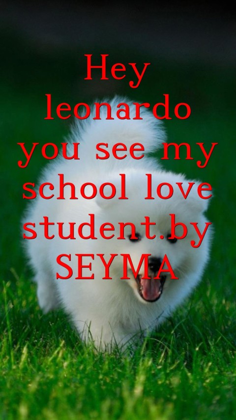 Hey leonardo you see my school love student.by SEYMA Text Wallpaper