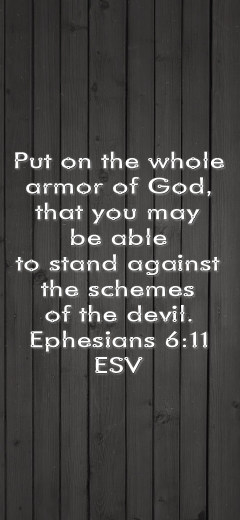 
Put on the whole
armor of God,
that you may
be able
to stand against
the schemes
of the devil.
Ephesians 6:11
ESV Text Wallpaper