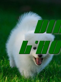 DIKRA L'HOMME  Text Wallpaper