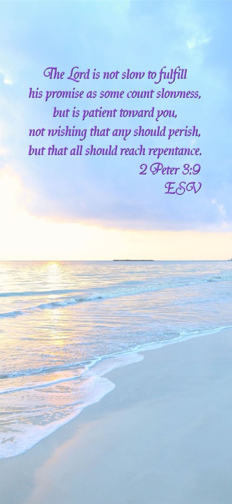 

The Lord is not slow to fulfill
his promise as some count slowness,
but is patient toward you,
not wishing that any should perish,
but that all should reach repentance.
                         2 Peter 3:9
                                ESV Text Wallpaper