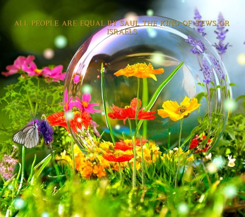 ALL PEOPLE ARE EQUAL.BY SAUL THE KING OF JEWS OR ISRAELS  Text Wallpaper