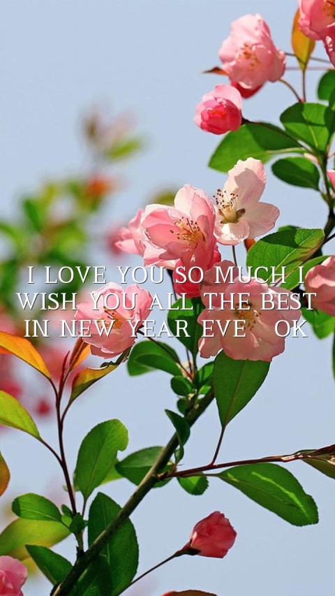 I LOVE YOU SO MUCH I WISH YOU ALL THE BEST IN NEW YEAR EVE  OK Text Wallpaper