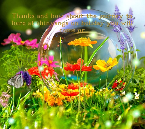Thanks and how about the journey to here at shinyanga on holiday you will come or Text Wallpaper