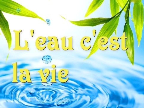 L'eau c'est la vie               D'apré henry  Text Wallpaper