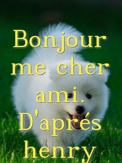 Bonjour me cher ami. D'aprés henry Text Wallpaper