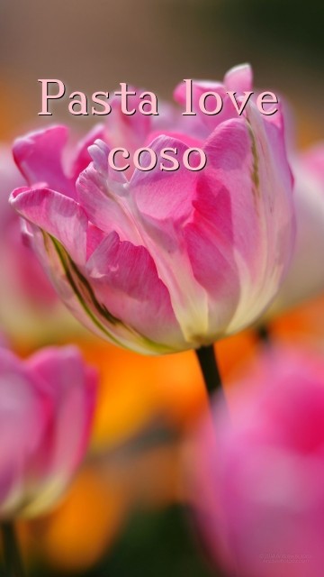 Pasta love coso Text Wallpaper