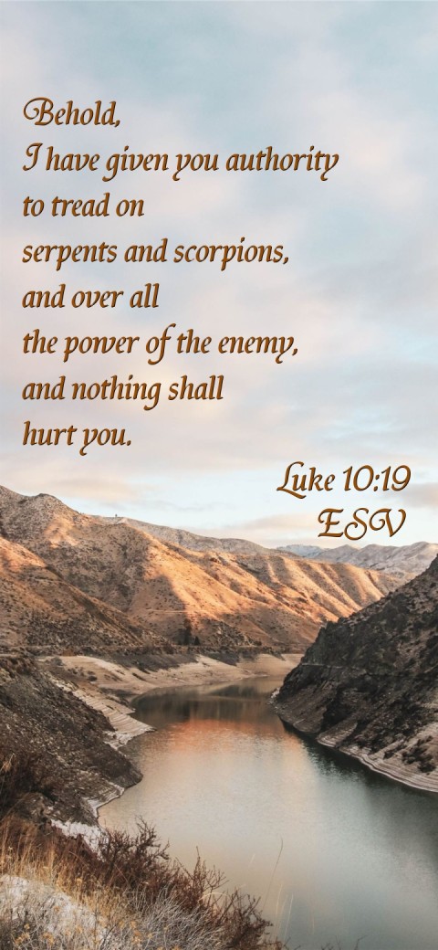 
Behold,
I have given you authority
to tread on
serpents and scorpions,
and over all
the power of the enemy,
and nothing shall
hurt you.
                          Luke 10:19
                              ESV Text Wallpaper