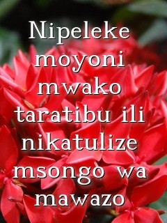 Nipeleke moyoni mwako taratibu ili nikatulize msongo wa mawazo Text Wallpaper