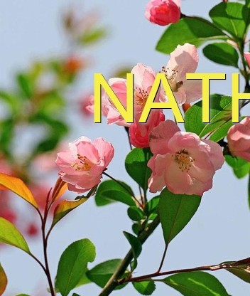 NATHANAEL Text Wallpaper