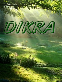 DIKRA Text Wallpaper