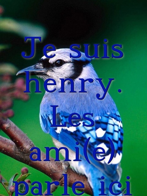 Je suis henry. Les ami(e) parle ici  Text Wallpaper