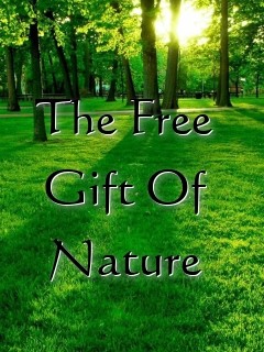 The Free Gift Of Nature Text Wallpaper