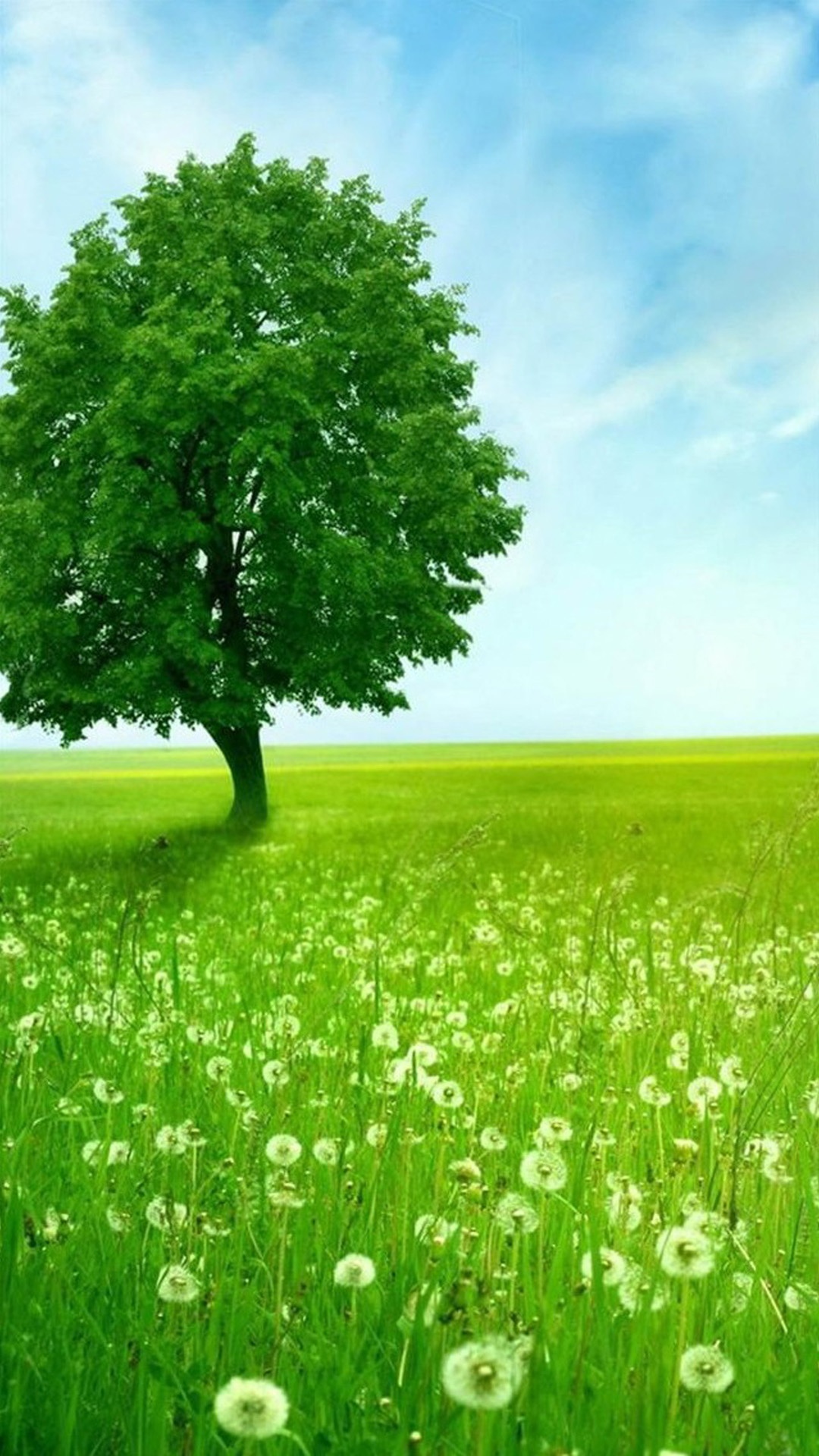 Lonely tree Wallpaper for Insignia 5X Lonely tree Wallpaper for Insignia 5X