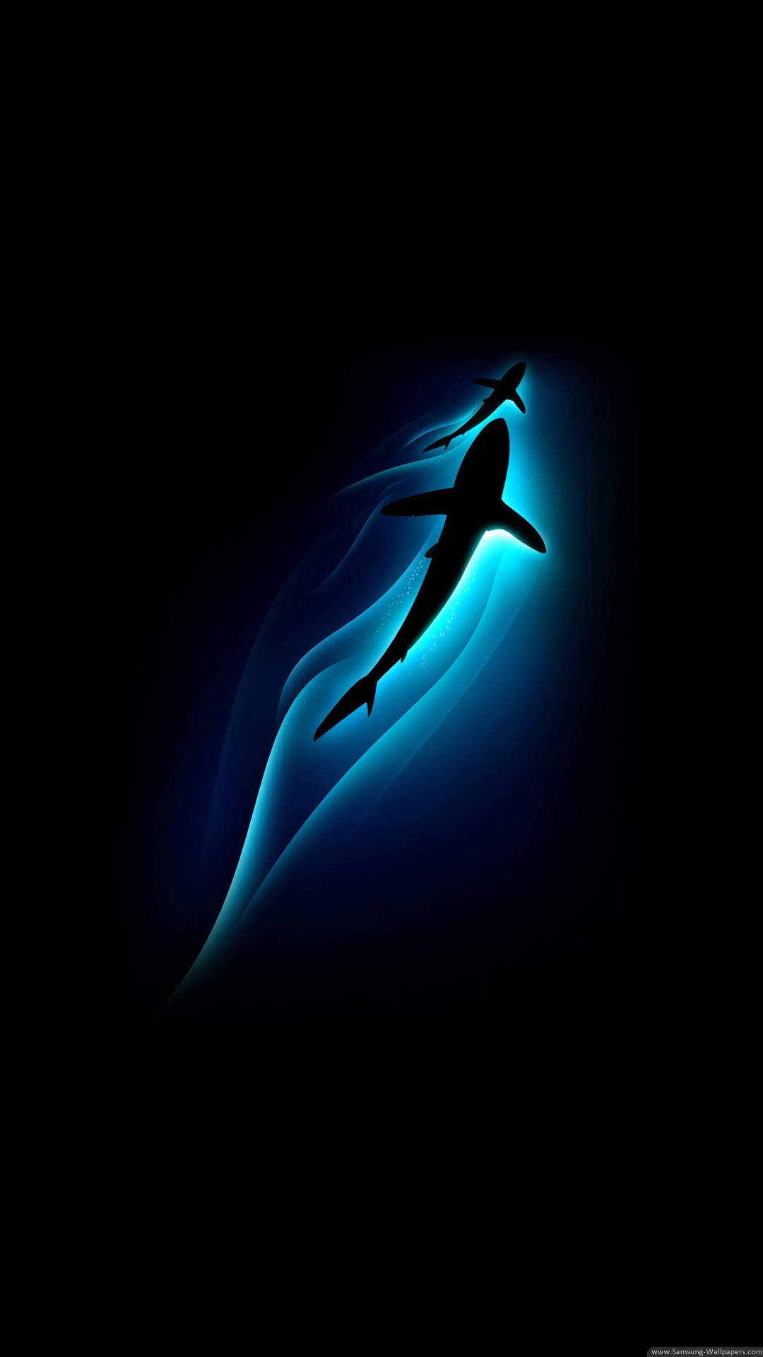 shark Wallpaper for Insignia 5X shark Wallpaper for Insignia 5X